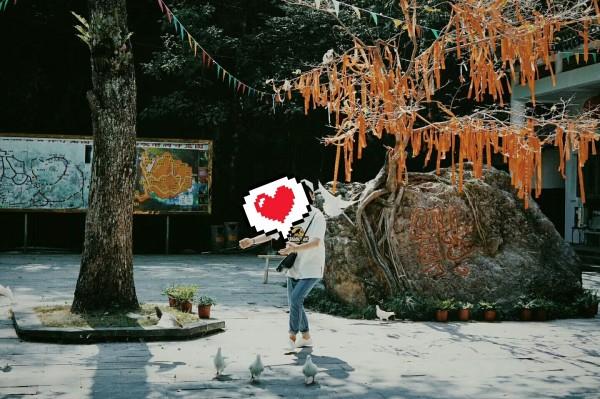 大唐无双唯美篇