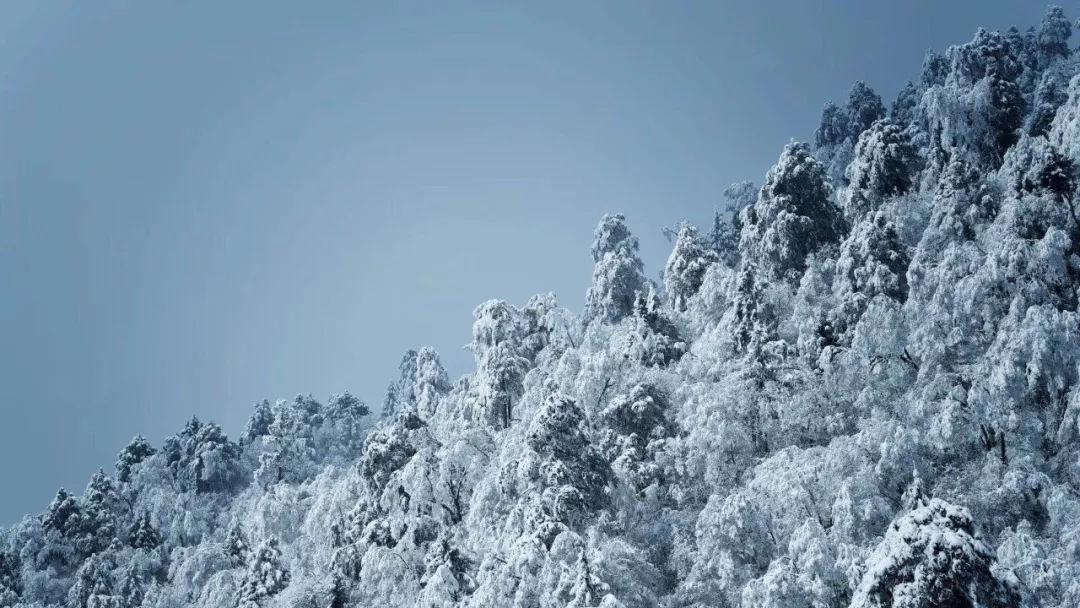 雁峰区公安局岳屏派出所快速侦破一起电信诈骗案