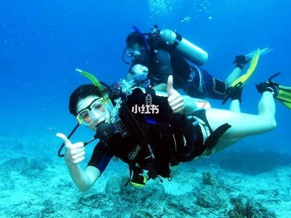 民乐奏响迎春序曲!淄博首届古筝春晚亮相淄博大剧院
