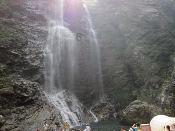 老鹰逃生